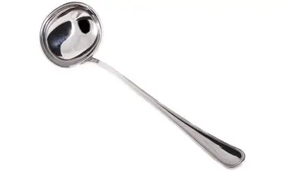 mepr-polovnyk-president-salvinelli