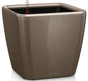 16125-vazon-21-lechuza-quadro-ls-siro-korychnevyy-glyanec