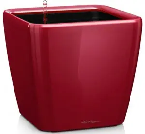 16147-vazon-28-lechuza-quadro-ls-chervonyy-glyanec