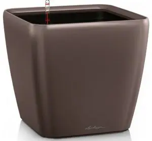 16141-vazon-28-lechuza-quadro-ls-espreso-vidlyv