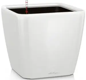 16160-vazon-35-lechuza-quadro-ls-bilyy-glyanec