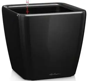 16189-vazon-43-lechuza-quadro-ls-chornyy-glyanec