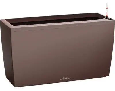 18827-vazon-lechuza-cararo-espreso-vidlyv