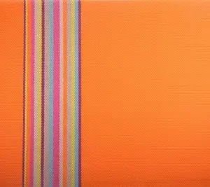 btw-4-kylymok-dlya-garyachogo-smuzhka-oranzhevyy-pdl