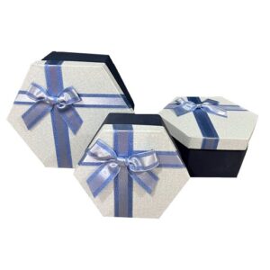 Подарункова коробка UFO WHITE/BLUE 40321-03 19х16х8 см (7032439)