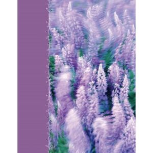 Фотоальбом UFO 10x15x200 PP-46200 Lavenders  (7061927)