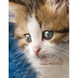 Фотоальбом UFO 10x15x200 PP-46200 Cat photo  (7061949)